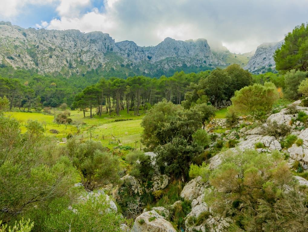 6 Tipps für Mallorca im Herbst | Marcel Remus Real Estate