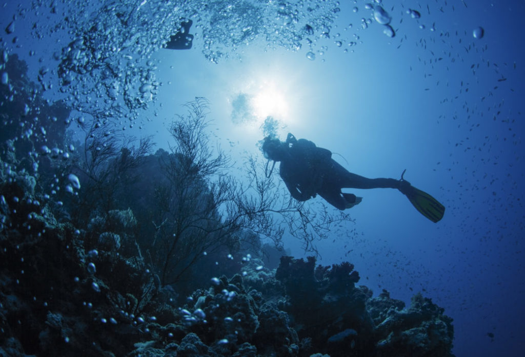 Tauchen auf Mallorca – unberührten Unterwasserwelten auf der Spur