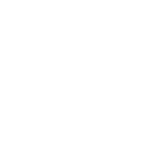 Führendes Immobilienunternehmen