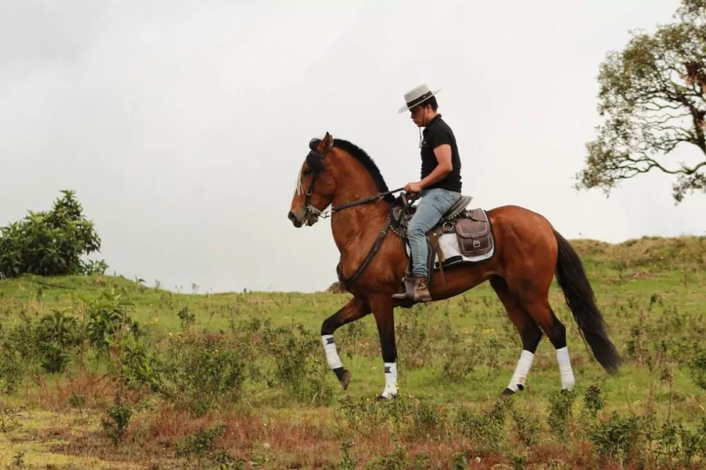 Reiten auf Mallorca